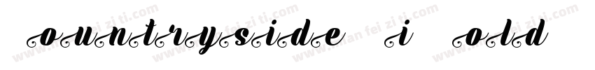 CountrysideSSi BoldI字体转换
